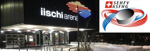 Iischi Arena Brig